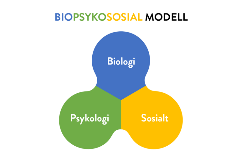 Illustrasjon av den biopsykososiale modellen