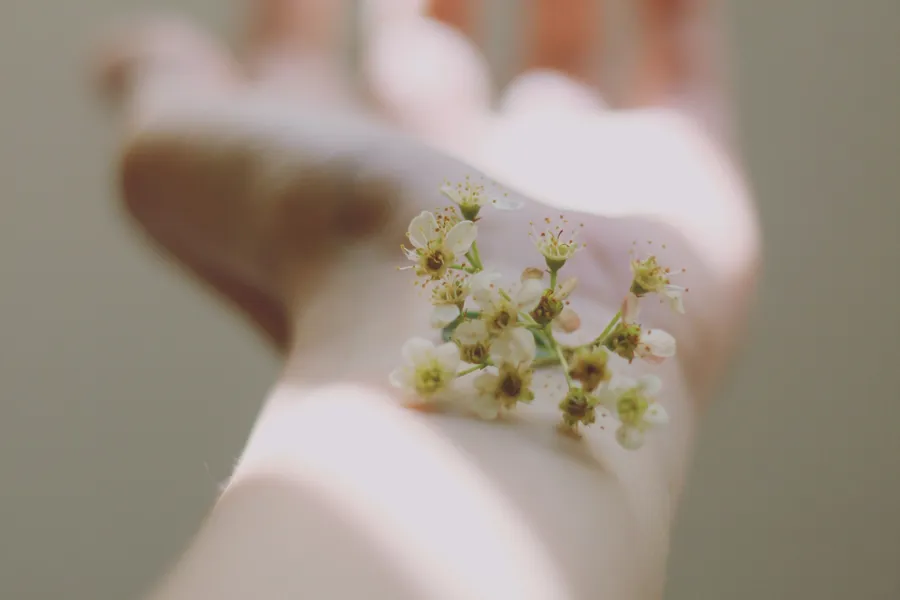 Et nærbilde av en blomst