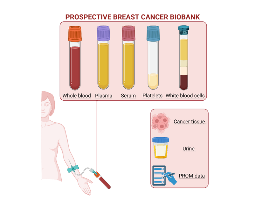 Graphical user interface, application