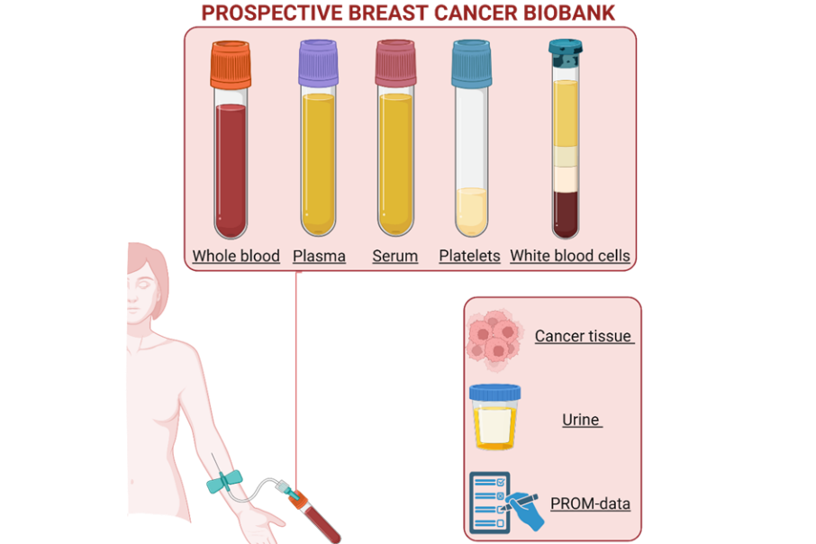 Graphical user interface, application