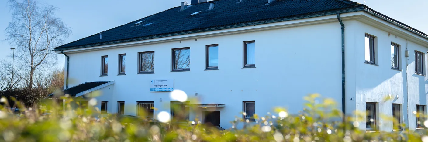 Et hus med en blomstereng foran seg