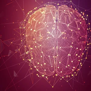 A large group of lights