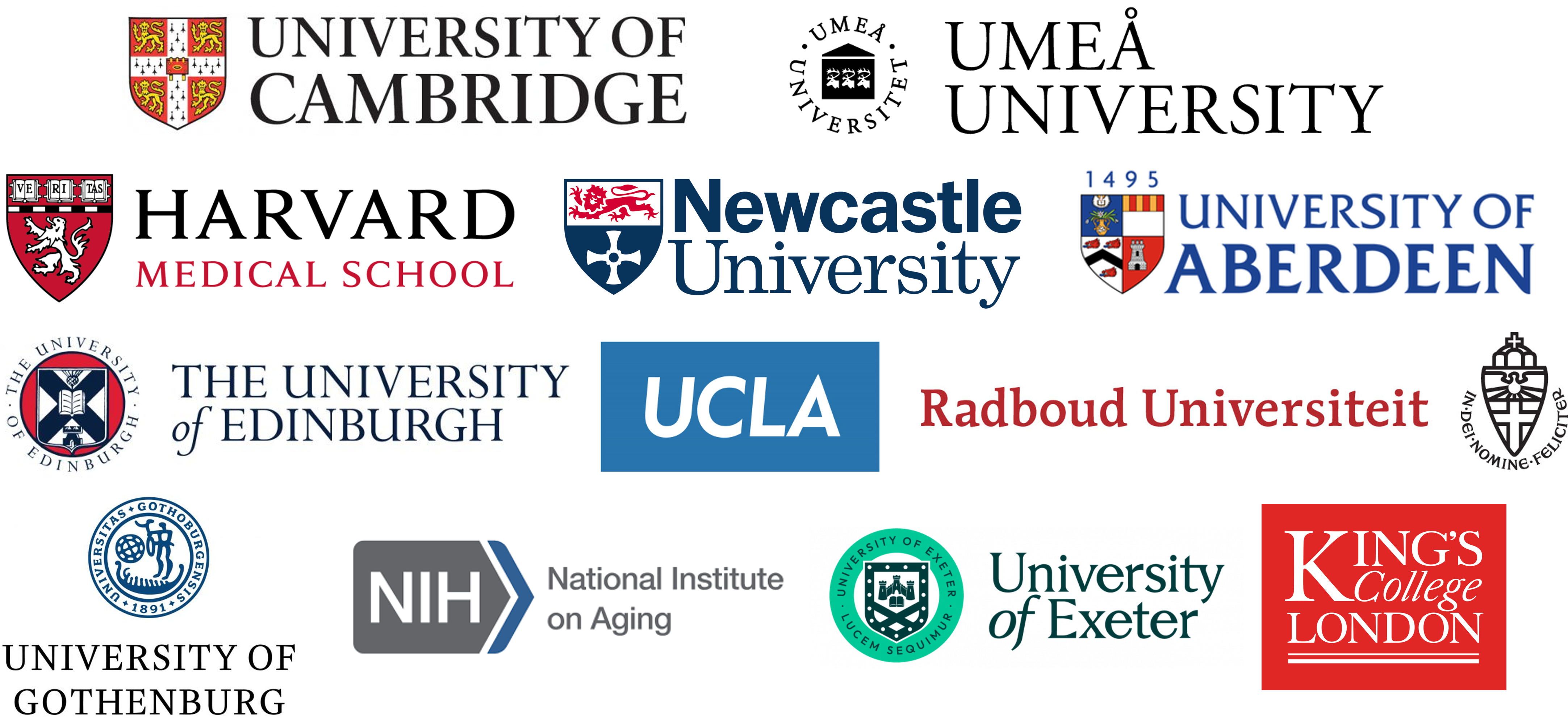 A screenshot of a computer