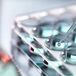 Close-up of a syringe with liquid in it