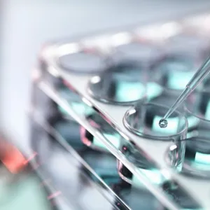 Close-up of a syringe with liquid in it