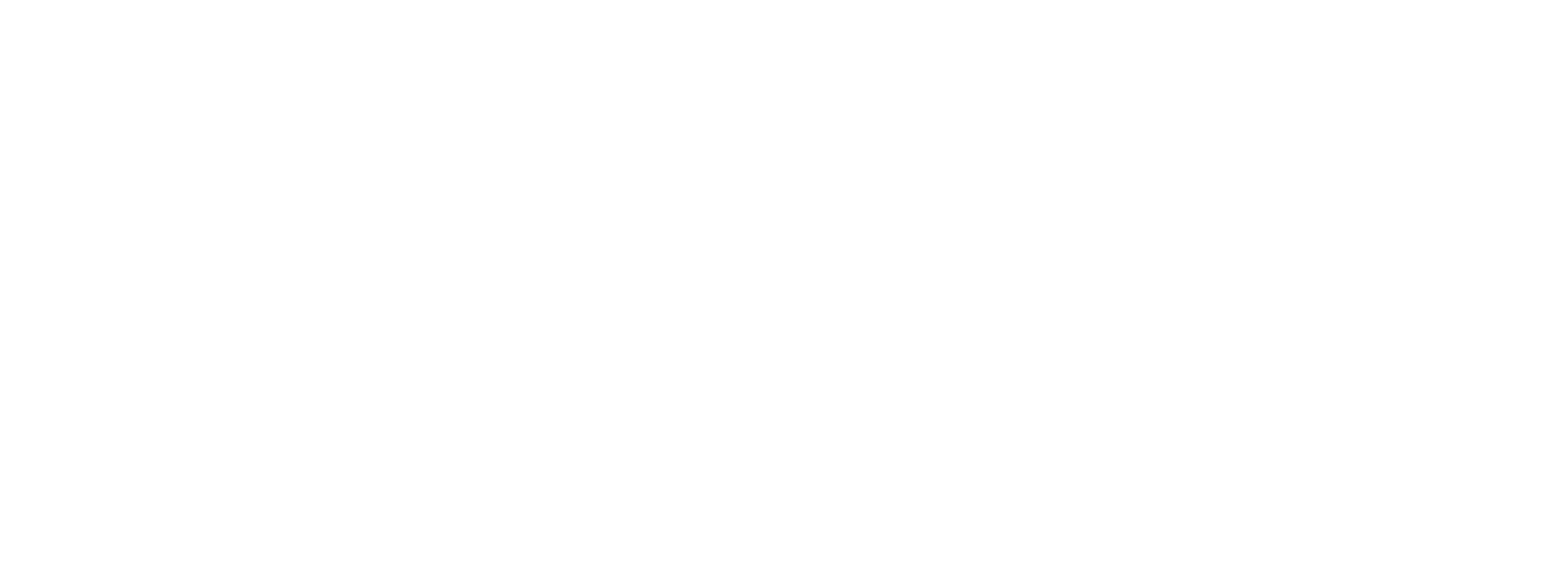 logo UiS