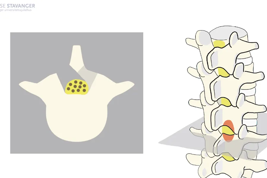 Skjermbilde fra film