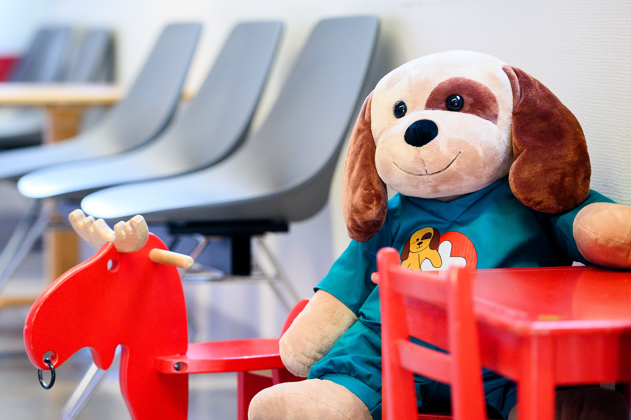 Et kosedyr i en stol