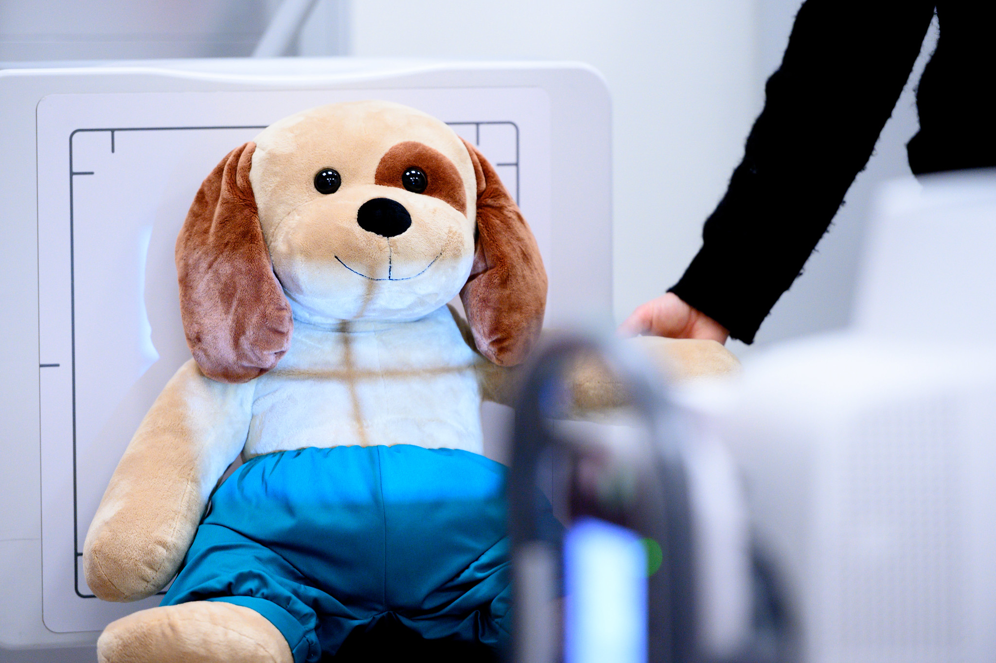 En person som holder et kosedyr