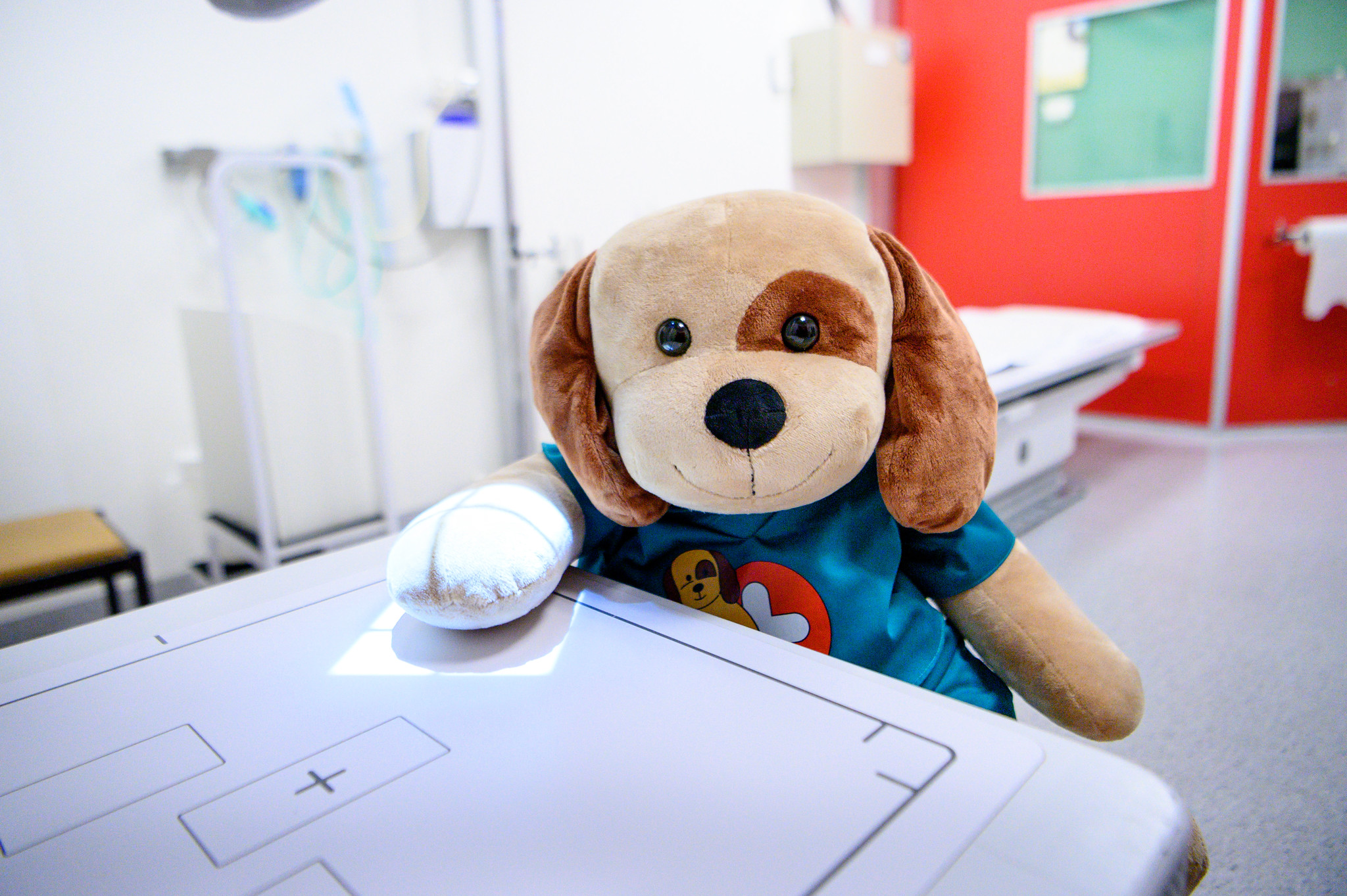 Et kosedyr med armen på et bord