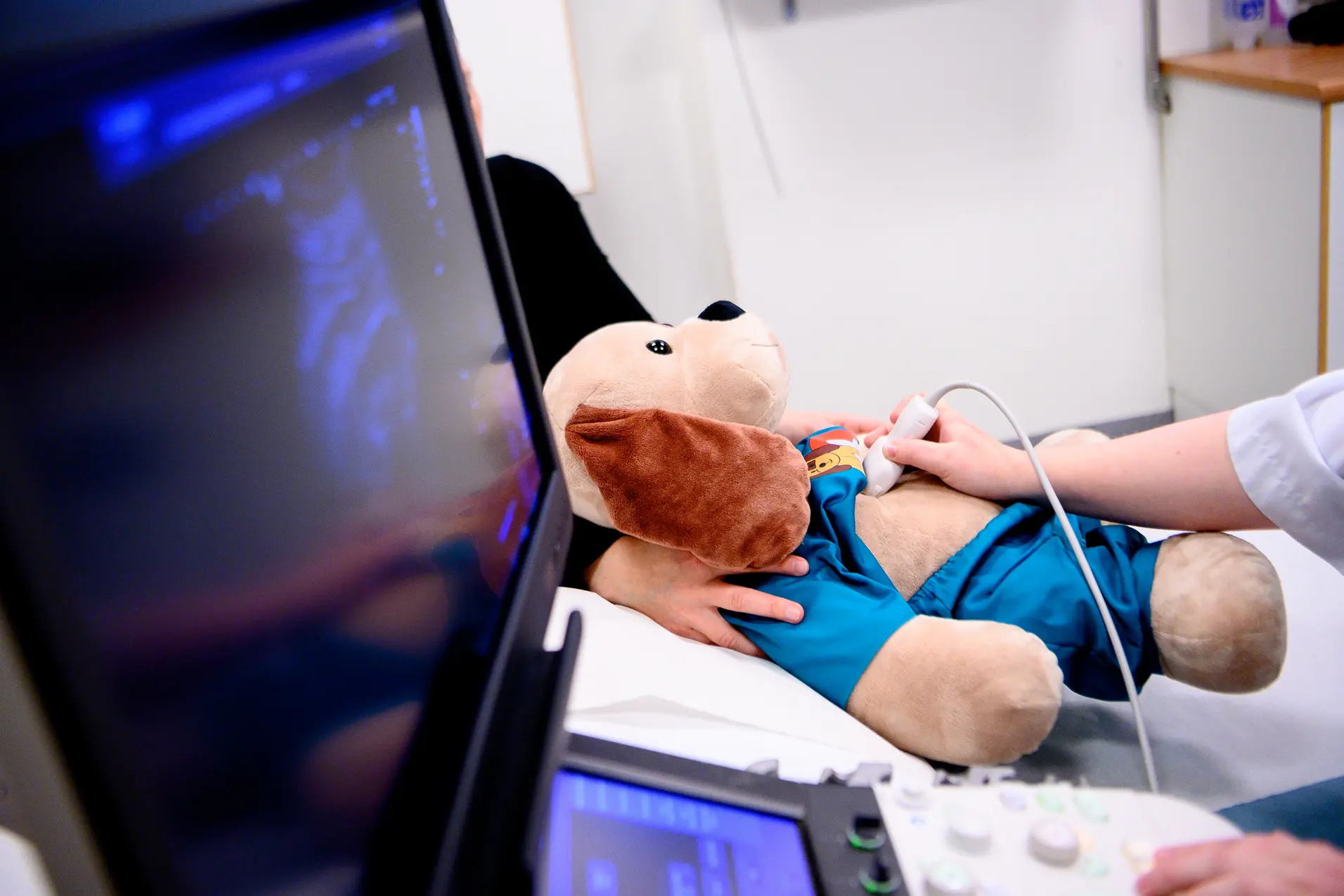 En person som holder et kosedyr