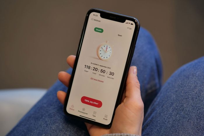 Grafisk brukergrensesnitt, applikasjon