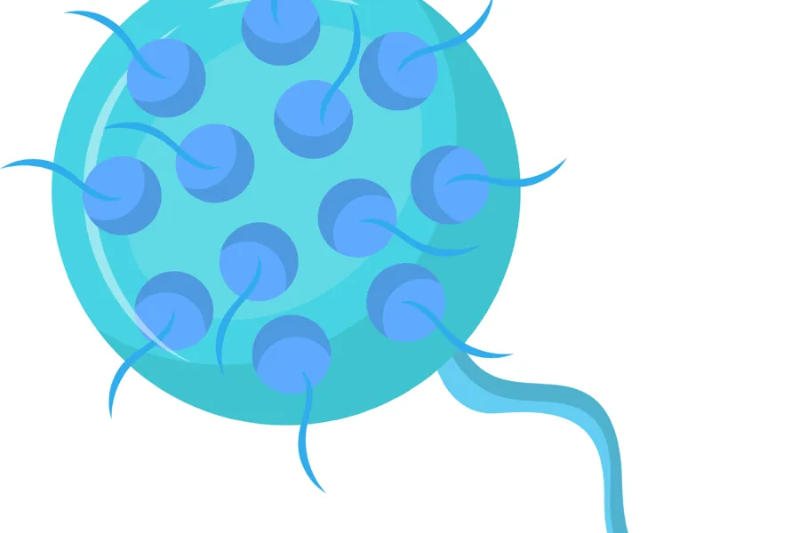 Illuastasjon av klamydia-bakterie