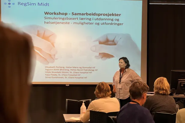 En person som holder en presentasjon