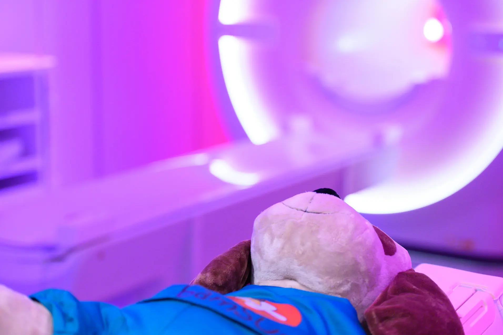 En hund som ligger på en seng