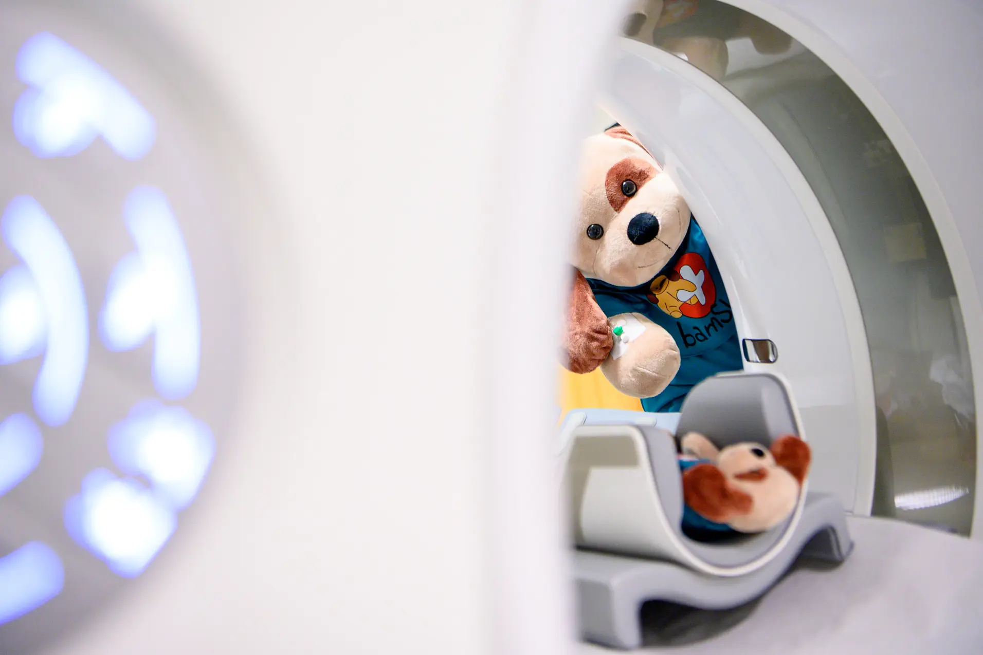 Et kosedyr på et toalett