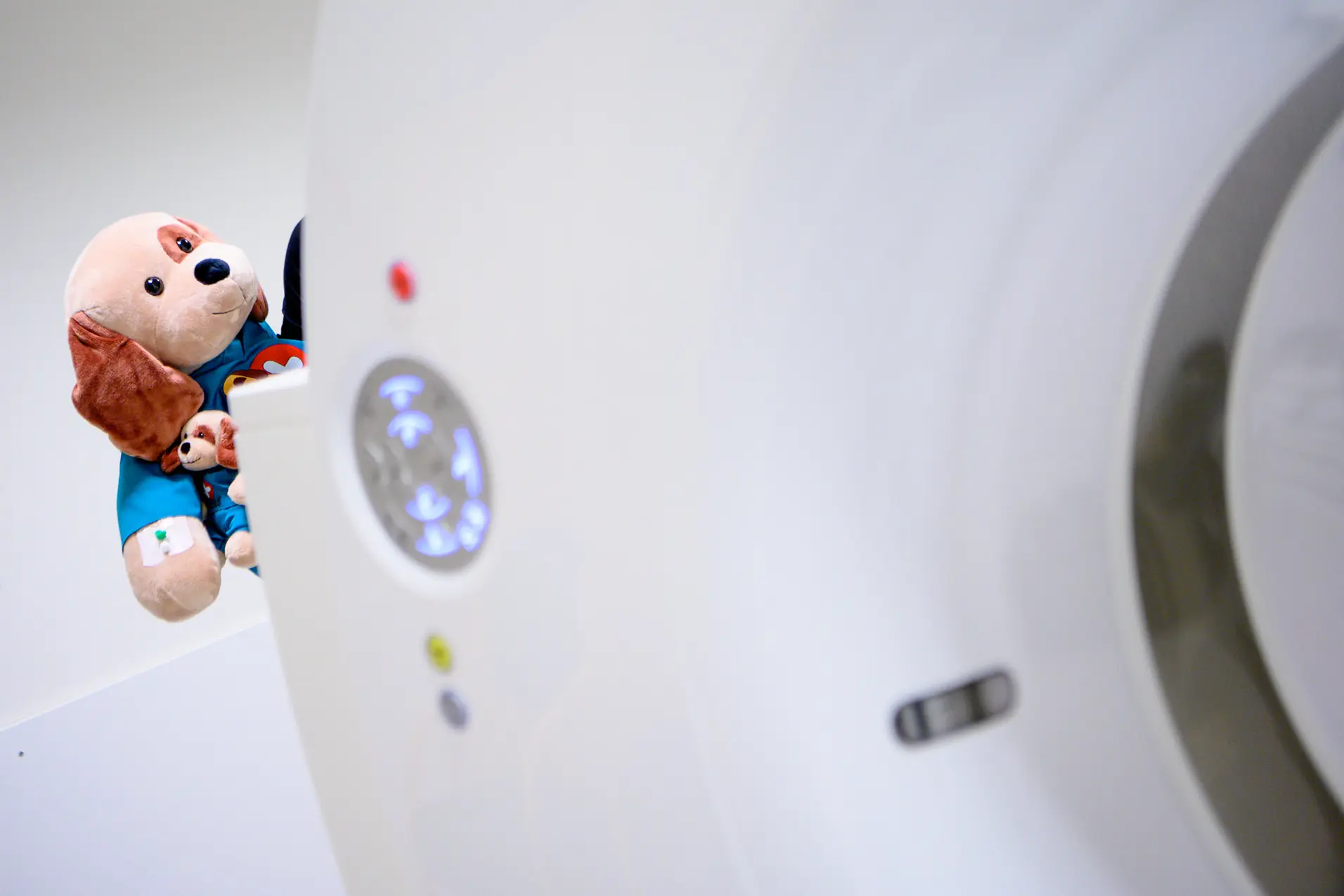 Et kosedyr ved siden av en vaskemaskin