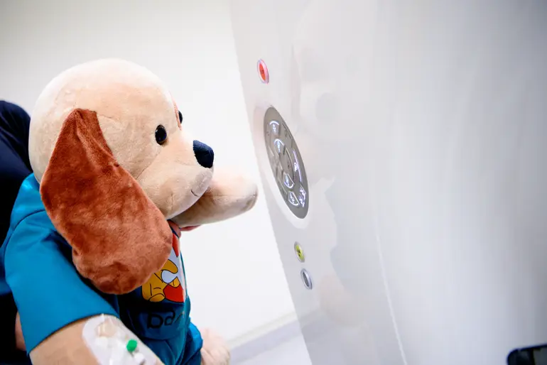 En hund iført skjorte