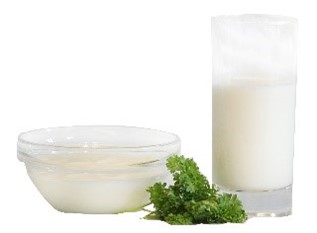 A bowl and a glass of milk