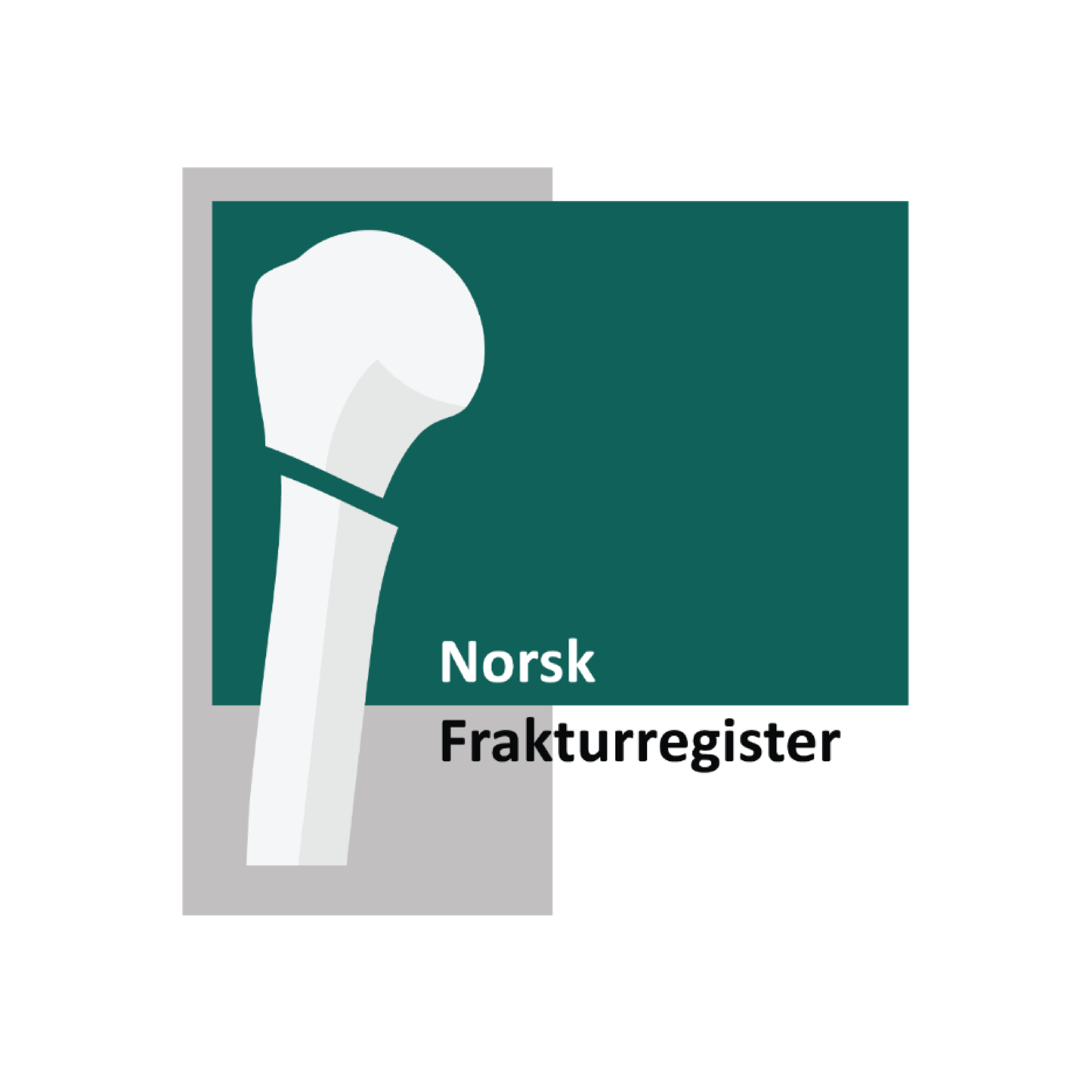 Grafisk brukergrensesnitt, applikasjon