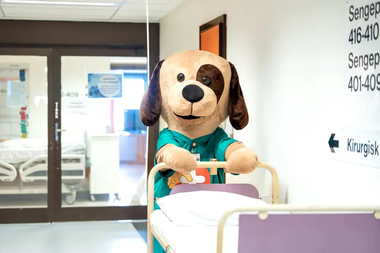 En hund som har på seg et plagg