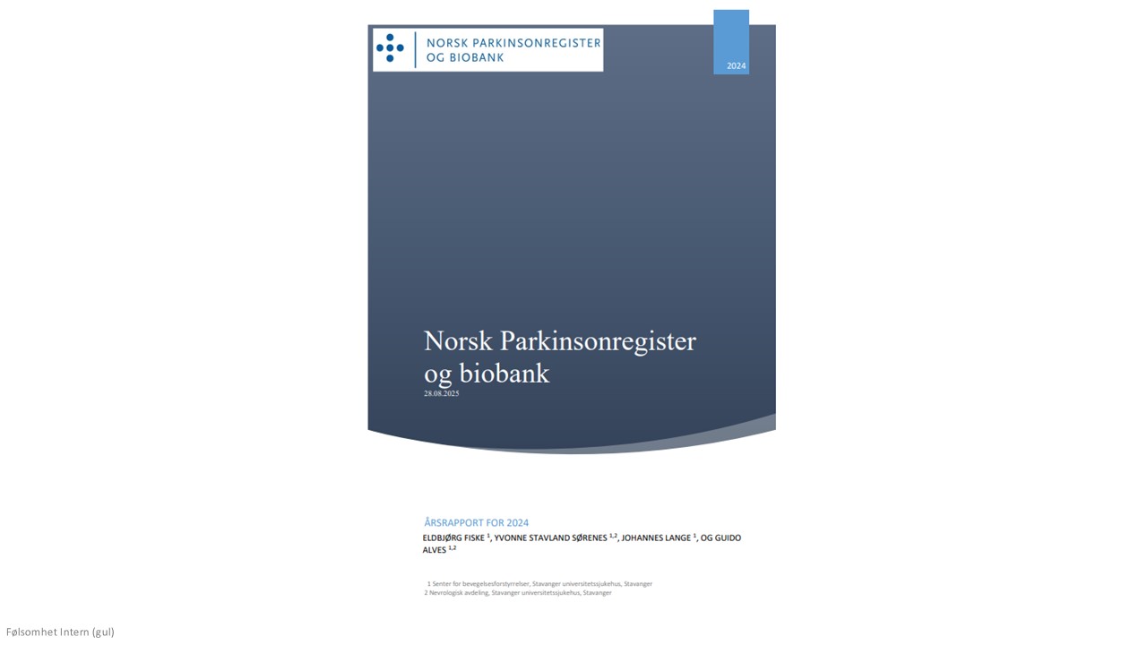 Grafisk brukergrensesnitt, applikasjon