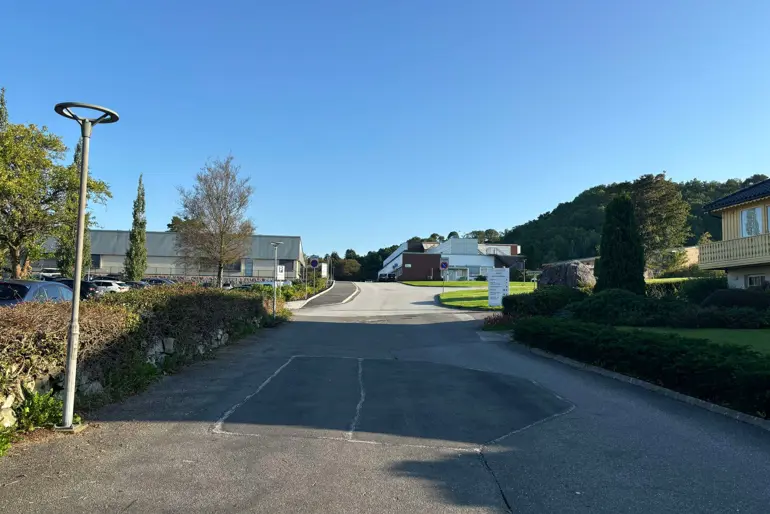 En vei med trær og hus på siden