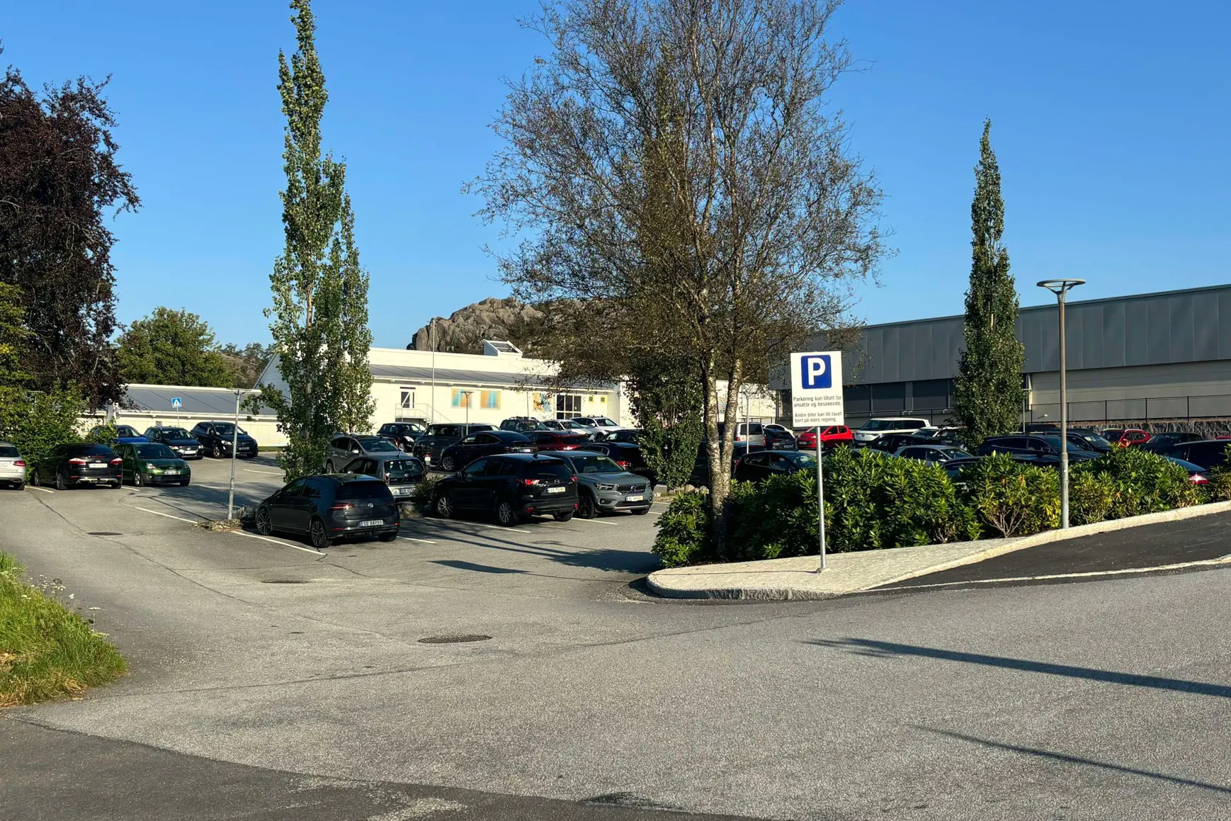 En parkeringsplass med biler og trær