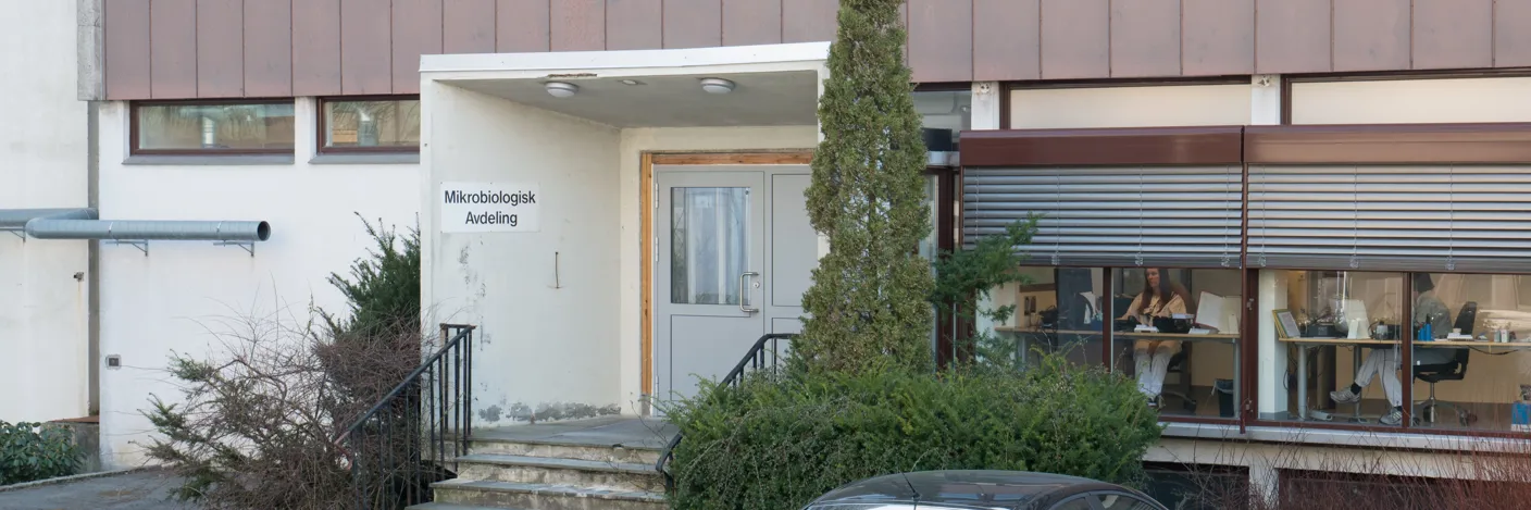 Trapp mot inngangsdør til betongbygg. Foto.