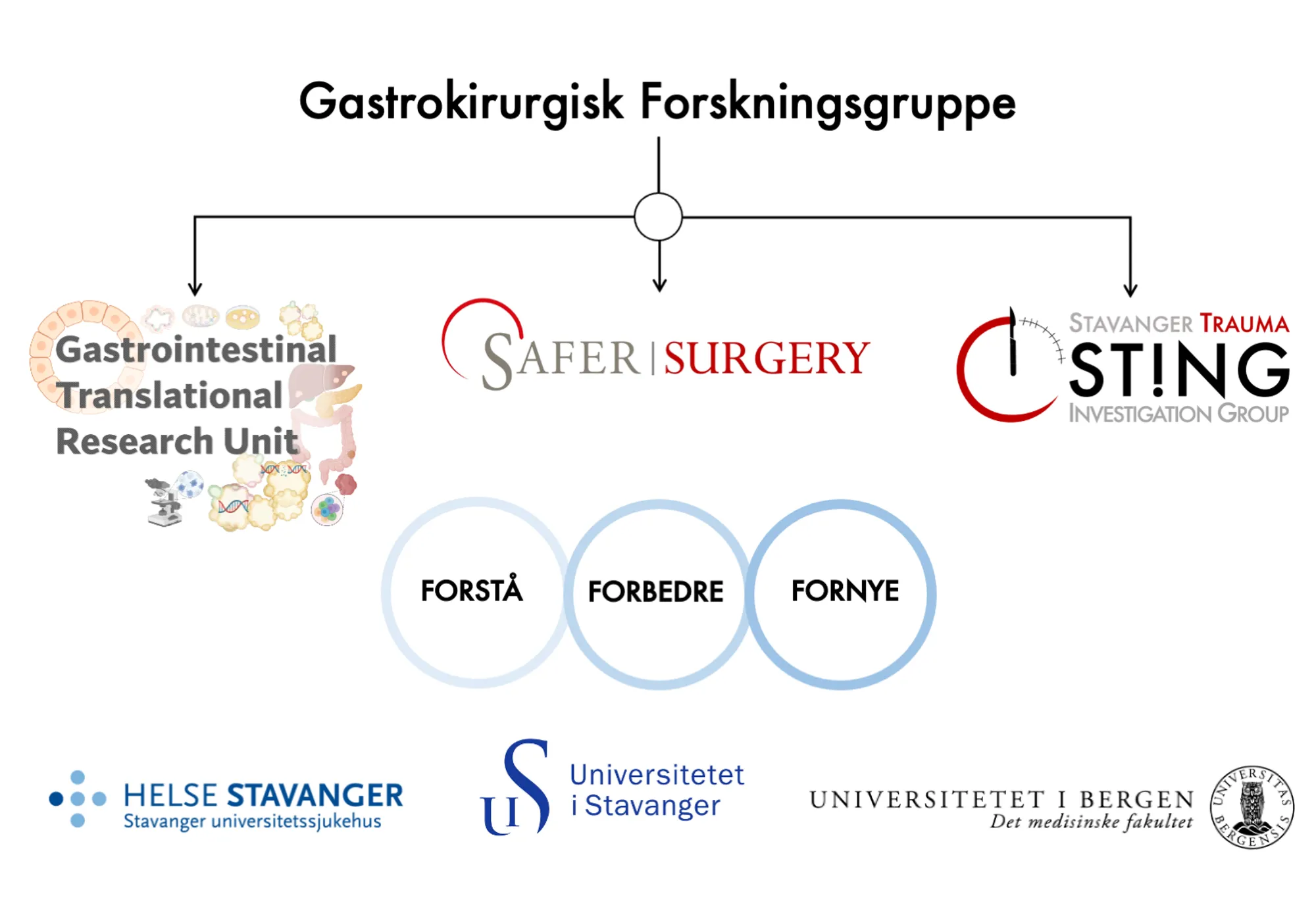 Figur som viser organiseringen av og samarbeidspartnerne til gastrokirurgisk forskningsgruppe.