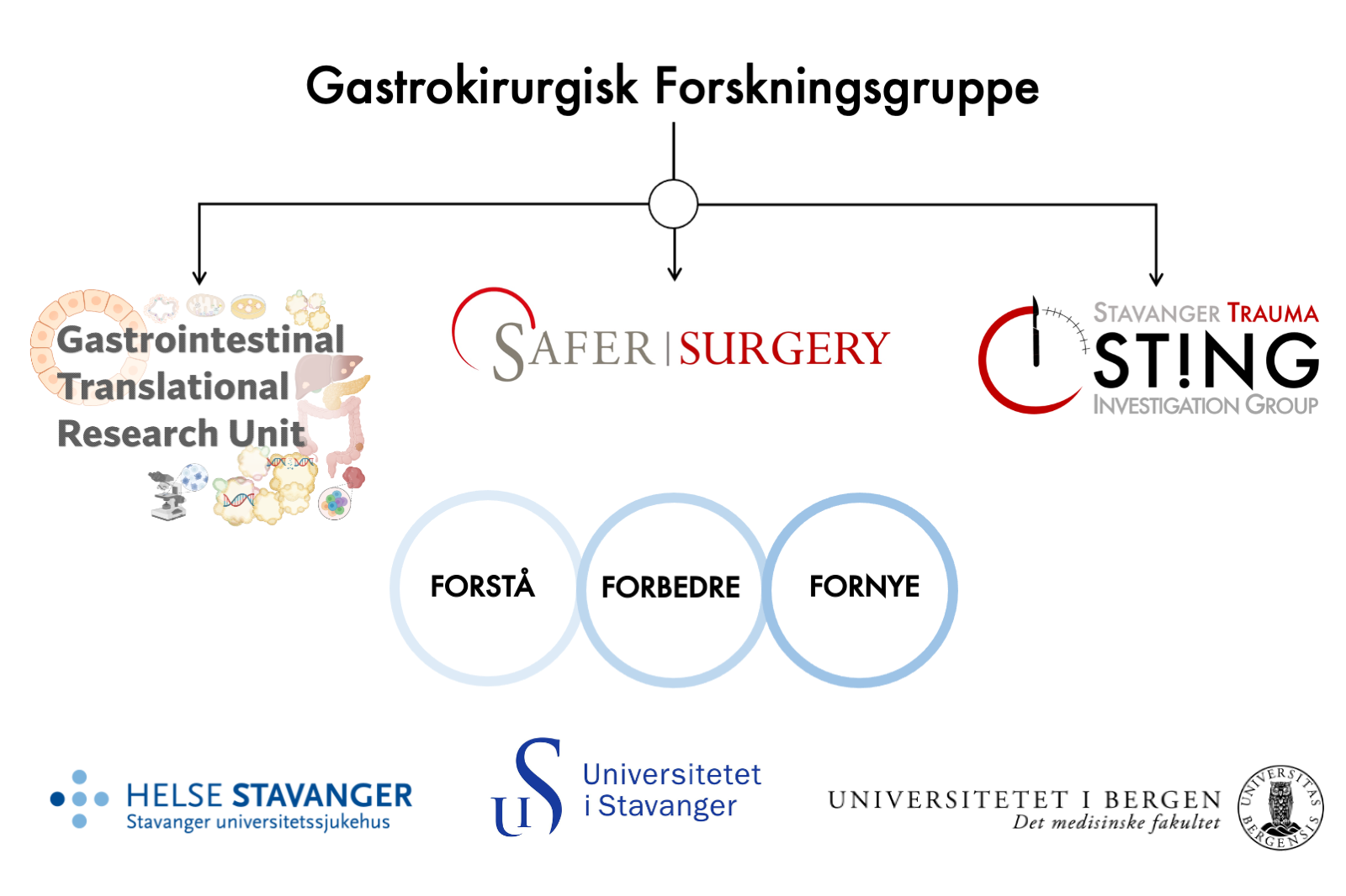 Figur som viser organiseringen av og samarbeidspartnerne til gastrokirurgisk forskningsgruppe.