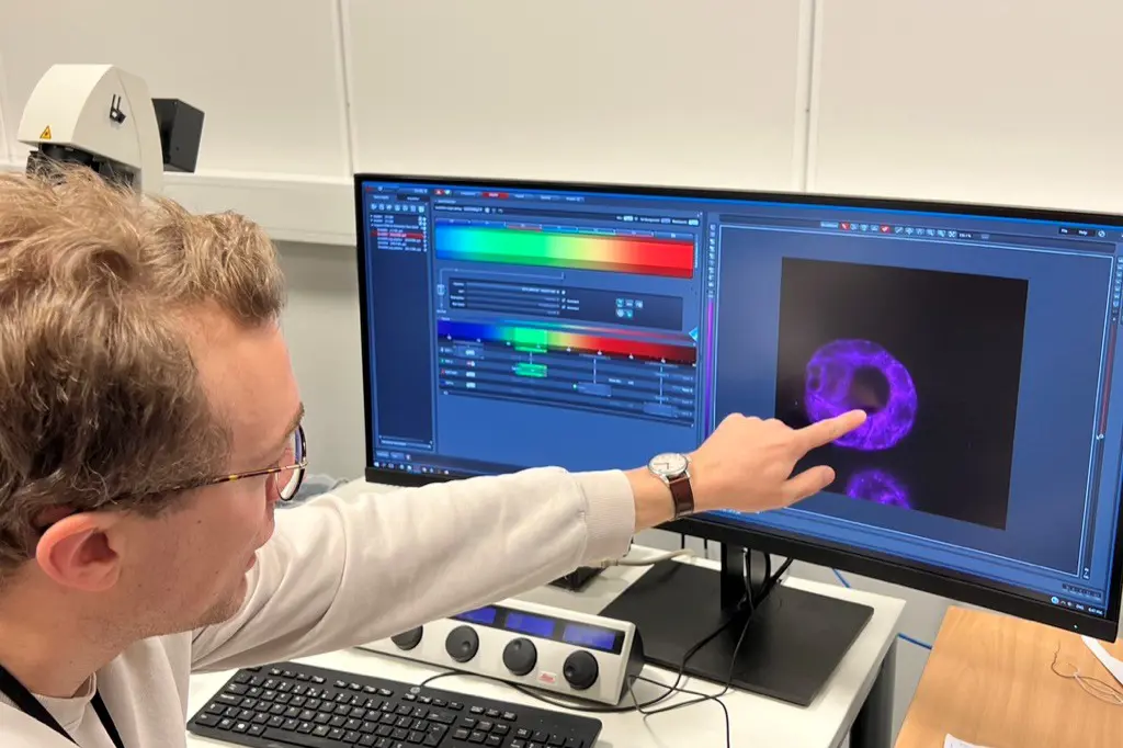 En mann med briller peker på en lille sirkel på en dataskjerm.