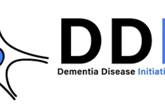 DDI logo