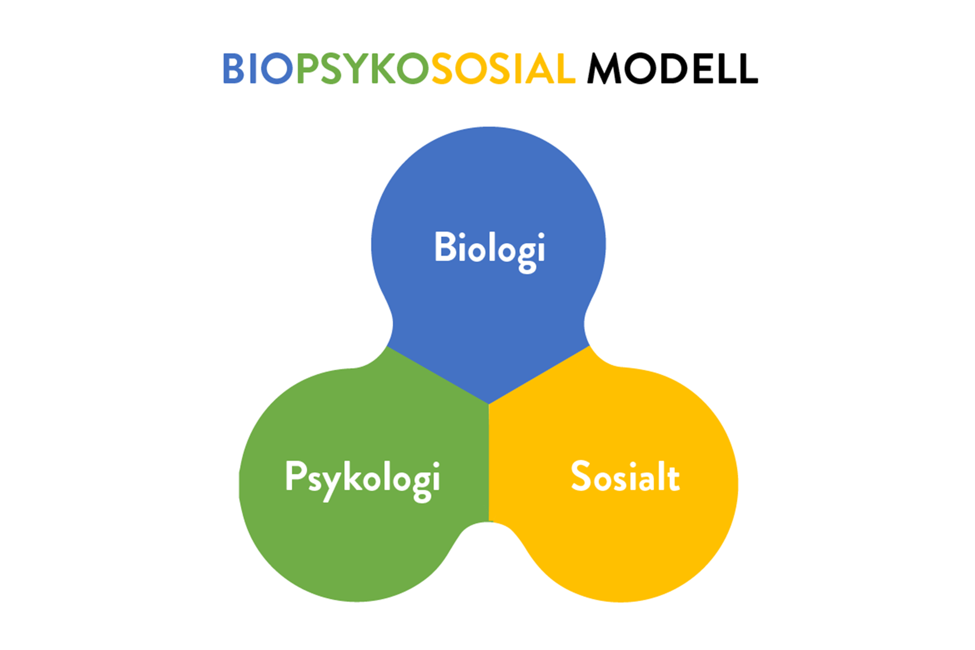 Den biopsykososiale modellen viser at biologi, det sosiale livet og psykologien er i gjensidig samspill.