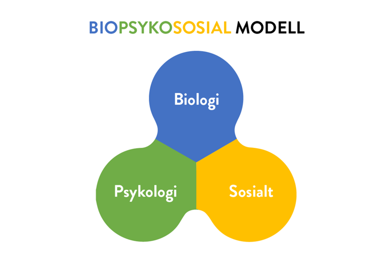 Den biopsykososiale modellen viser at biologi, det sosiale livet og psykologien er i gjensidig samspill.