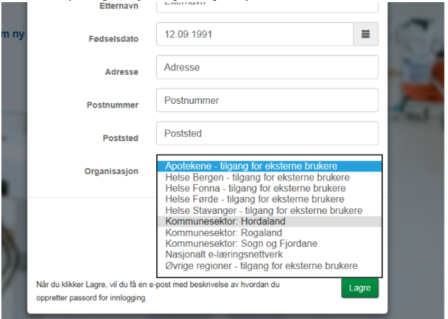 Skjermdump fra læringsportalen. Bilde.