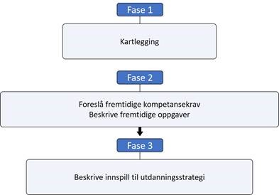 Kompetansestrategi Ambulansetjenesten.jpg
