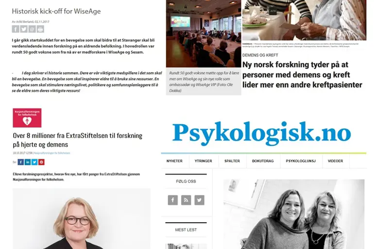 bildecollage1.jpg