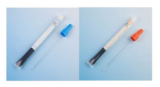 Aimes gel transportmedium med kull. Bilde. 