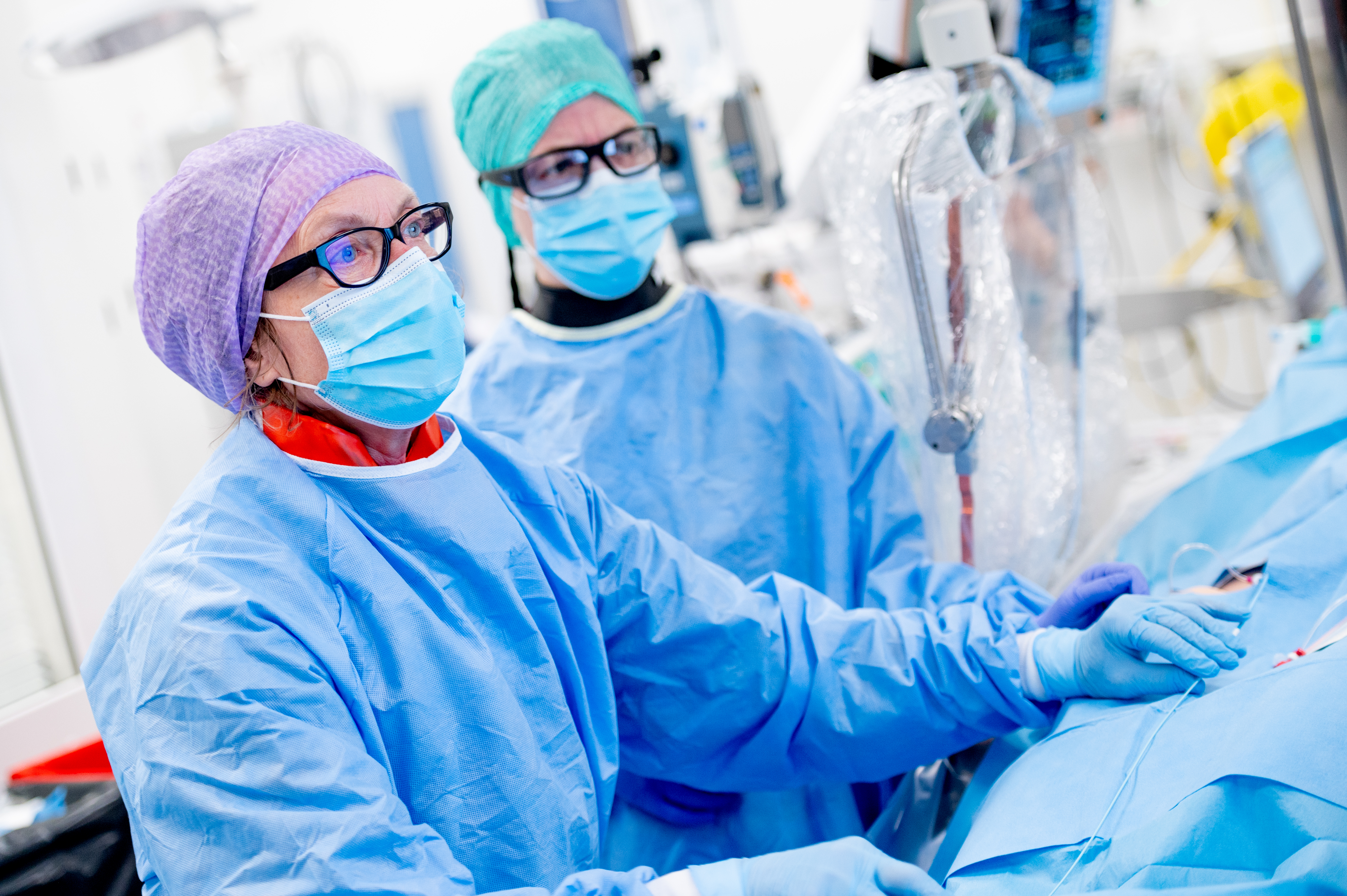 51869762024_1f1cc5ef94_o (1).jpg