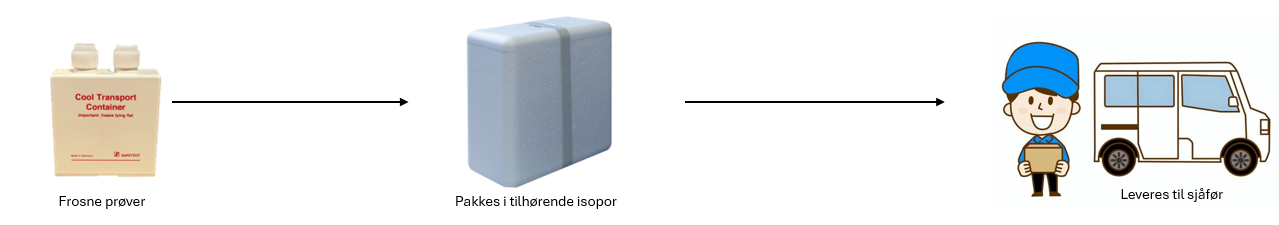 En gruppe bilder av en person