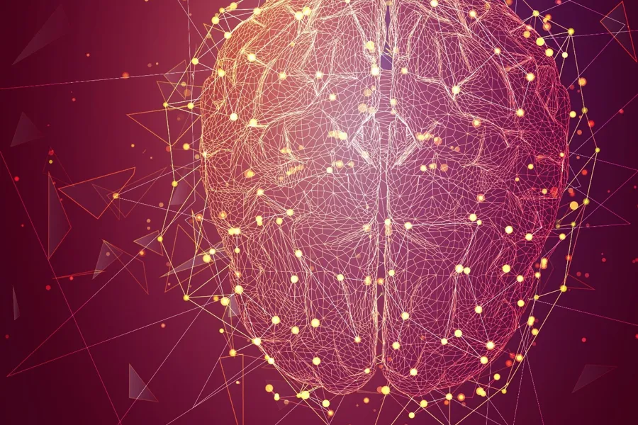 Illustrasjon av en hjerne