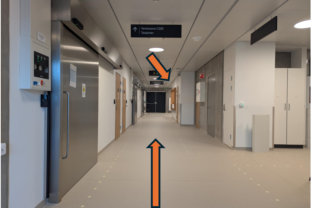 En lang gang med dører