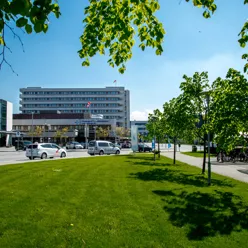 Hovedinngangen til akuttmottak med to bilder foran. Grønt gress. Foto.