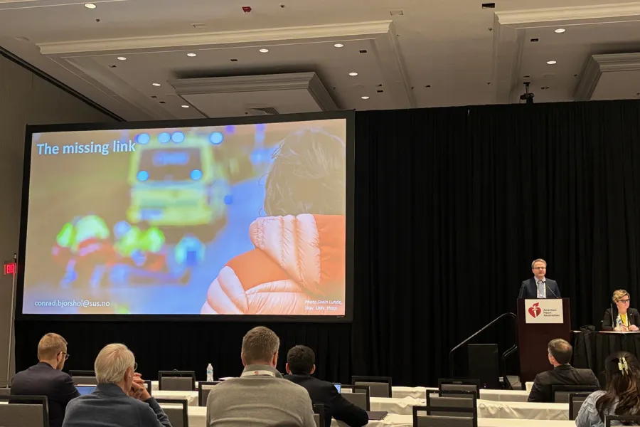 A person giving a presentation