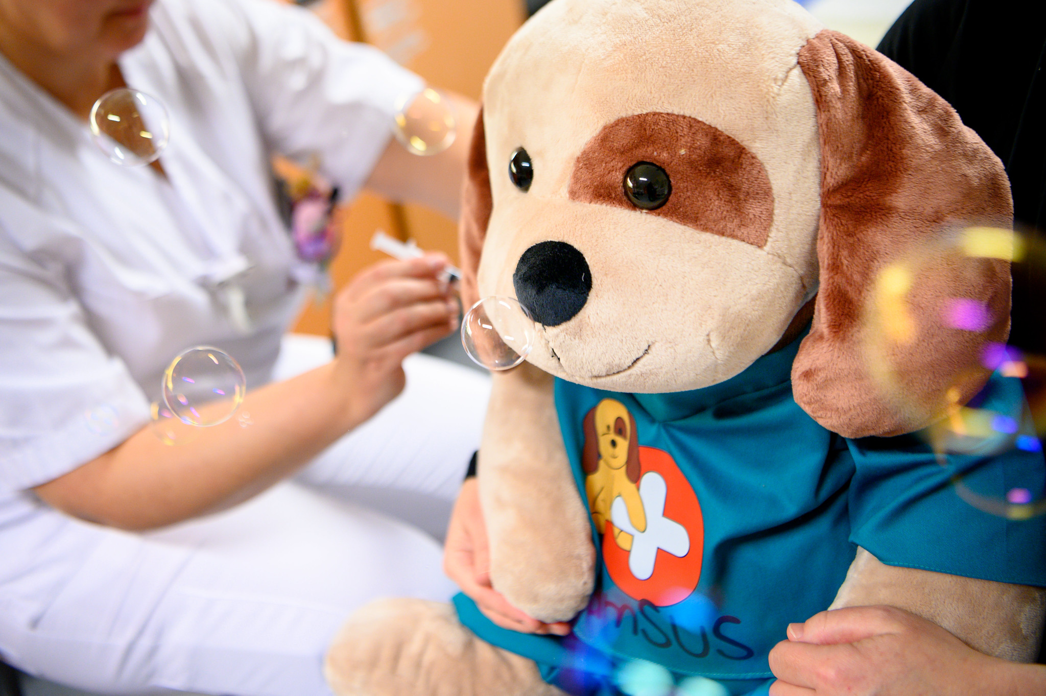 En person som holder et kosedyr