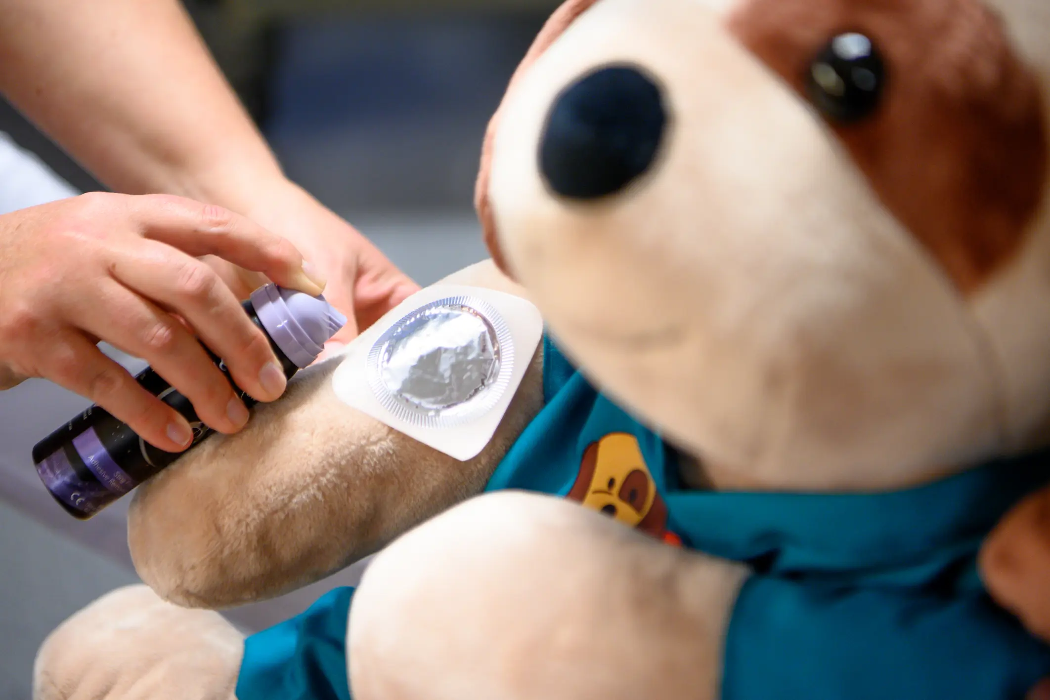 Bamse med sprayflaske