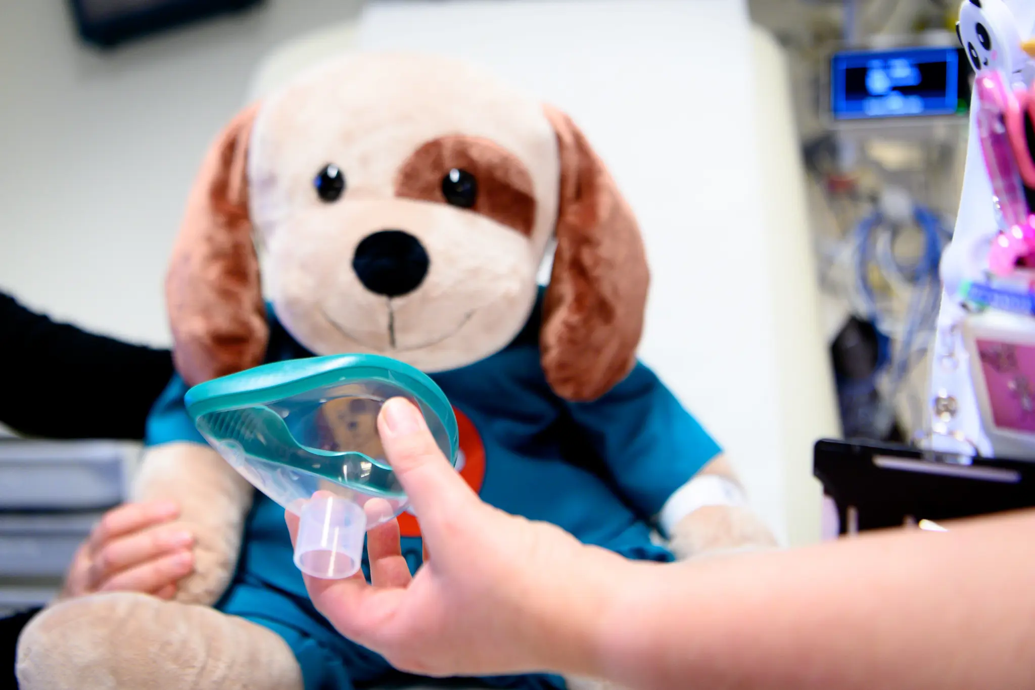 En hund i blå skjorte