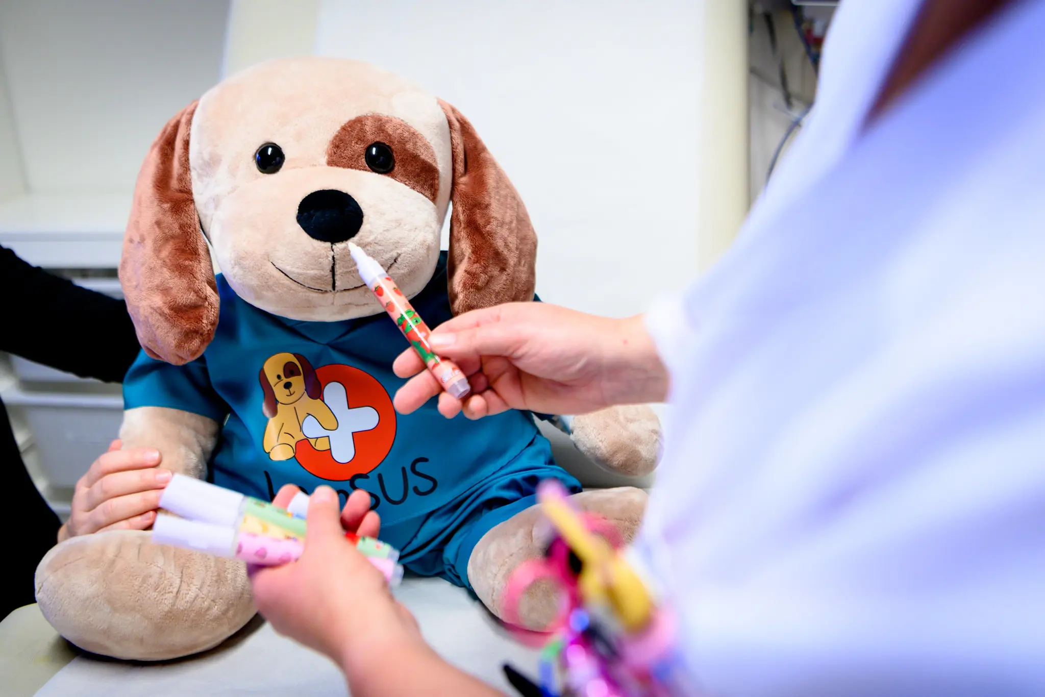 En person som holder et kosedyr