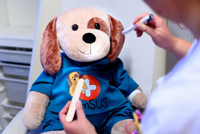 En kosebamse